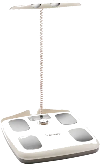 scale